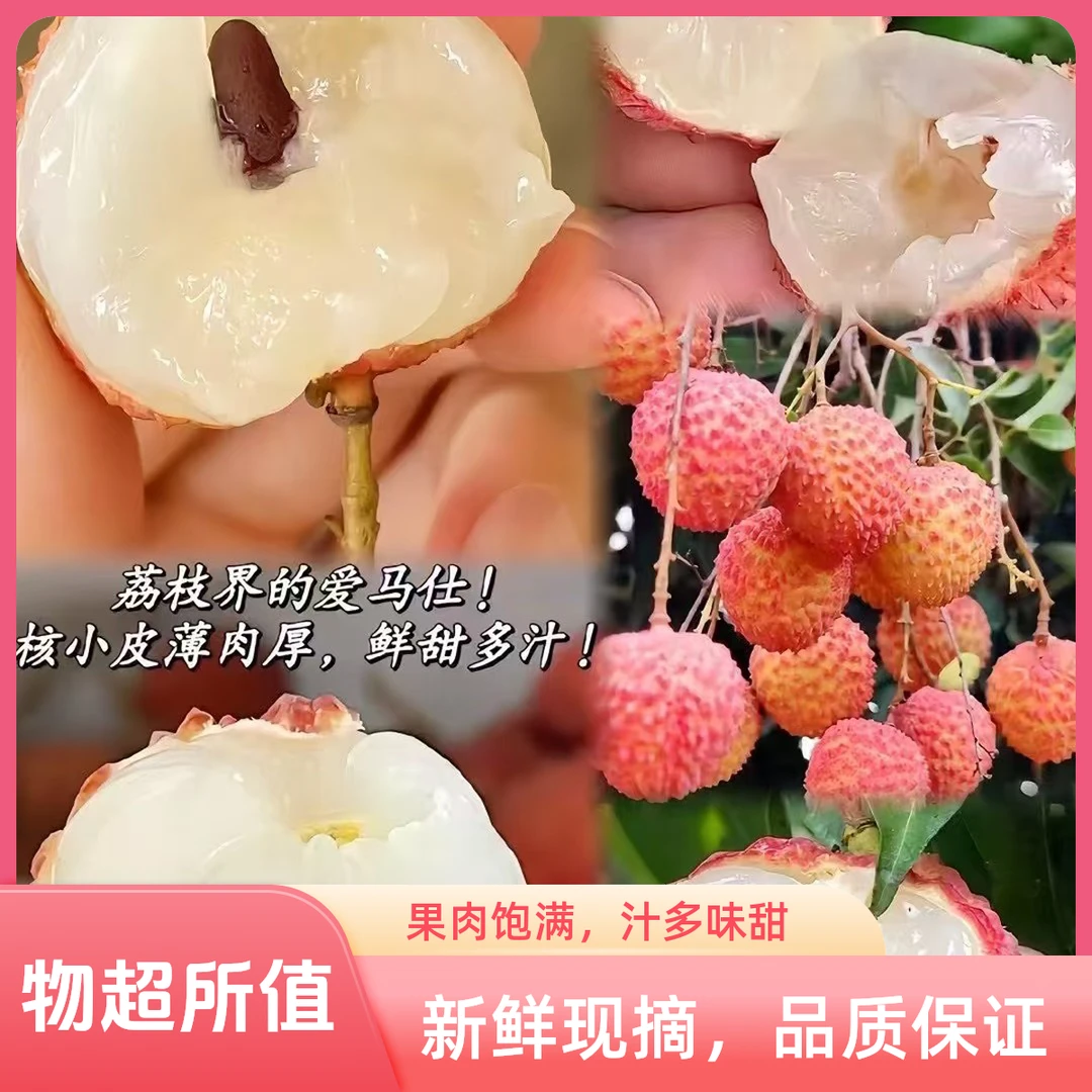 广东高州桂味荔枝新鲜现摘现发，肉脆清甜爽口自带淡淡的桂花香味