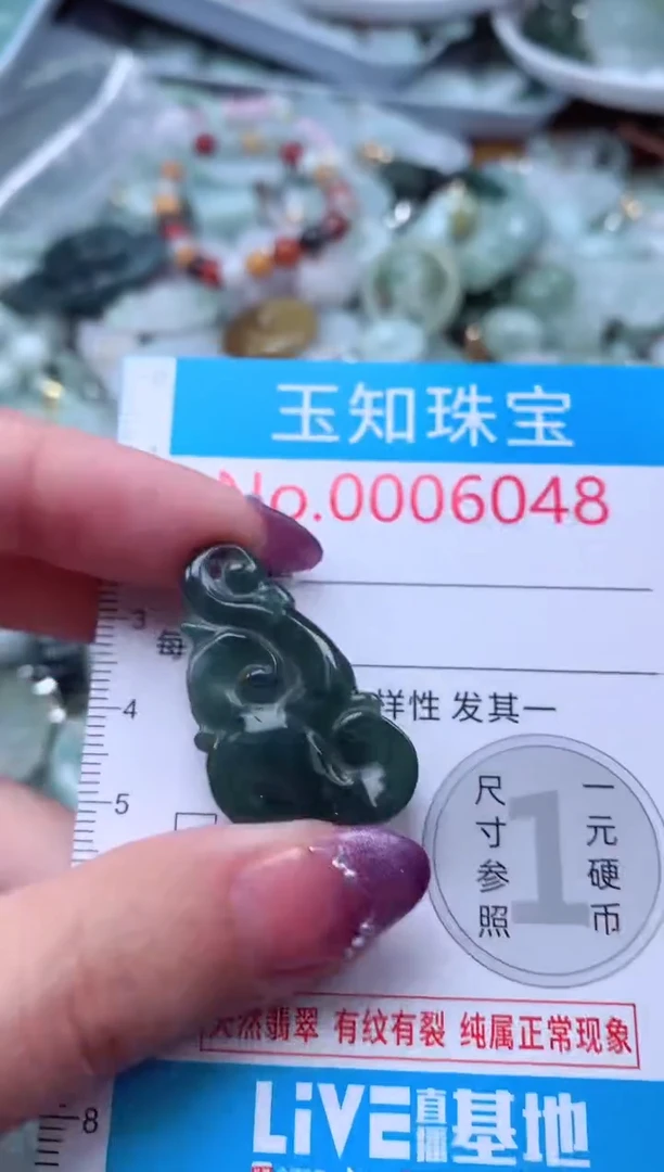 翡翠未镶嵌吊坠(不含链)6048