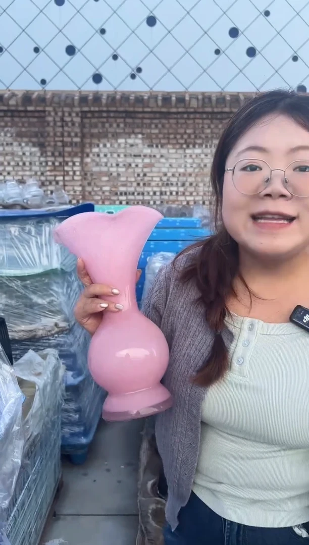 花瓶客厅餐桌插花装饰好物