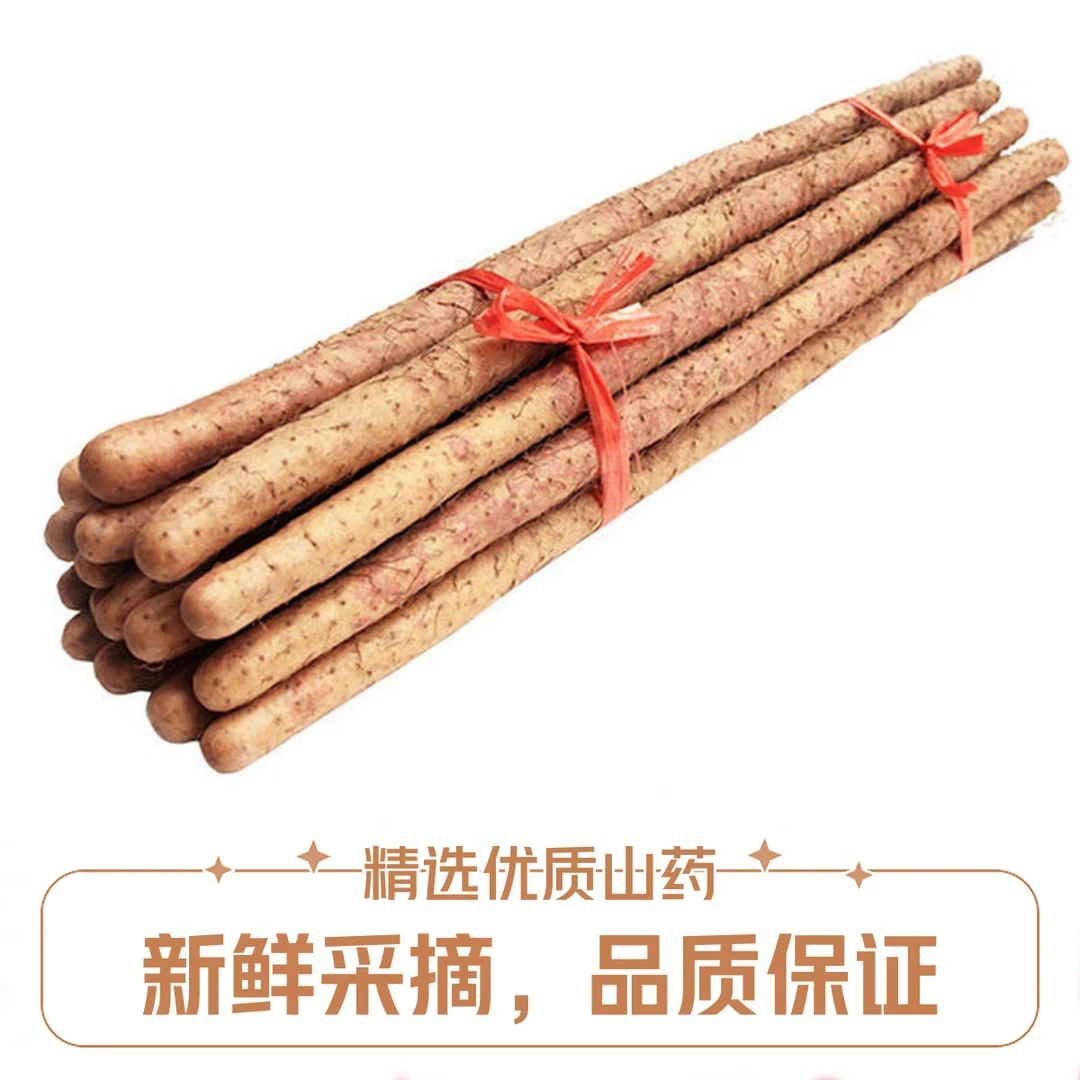 温县正宗铁棍山药新鲜采挖软糯香甜营养丰富健康食材养胃农家菜