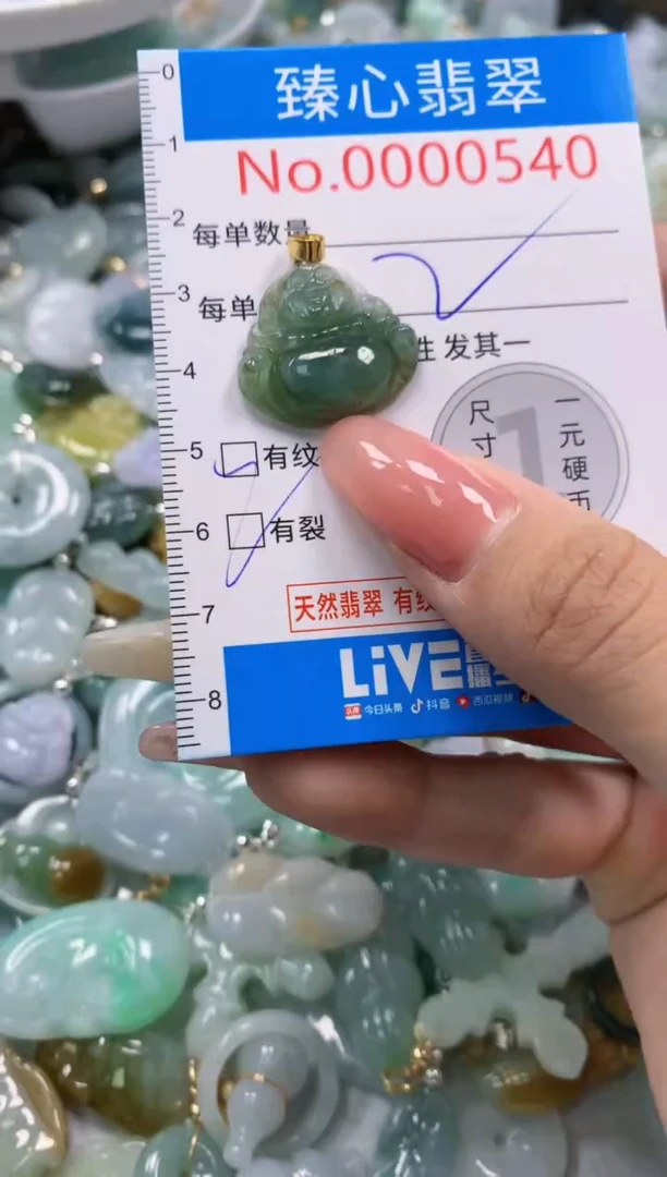 翡翠未镶嵌颈饰540