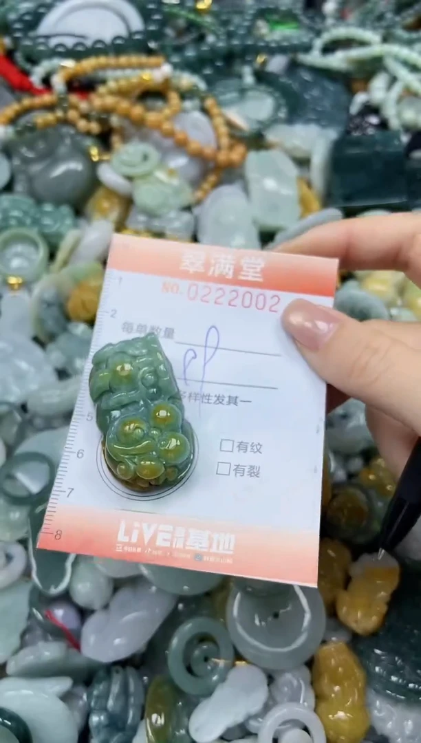 颈饰未镶嵌翡翠闪购0222002