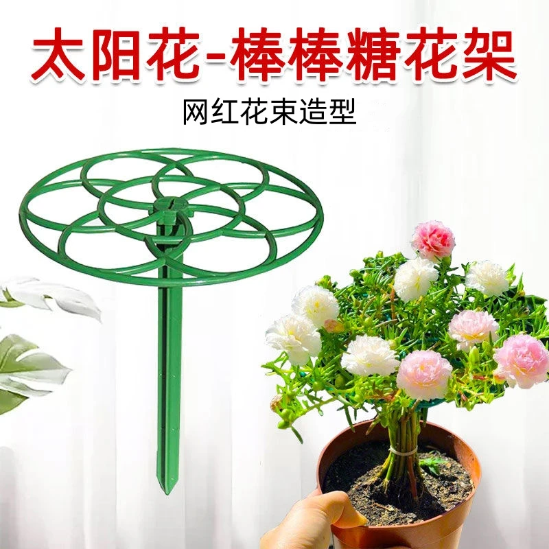 网红棒棒糖花架太阳花盆景造型支架蟹爪兰铁线莲爬藤架固定防倒伏