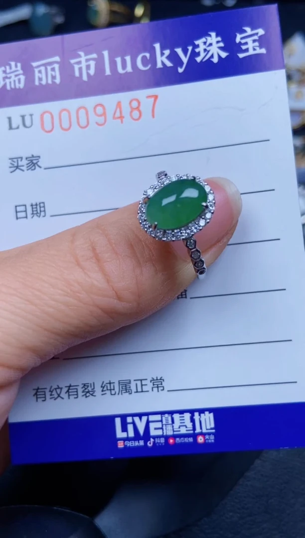 【闪购商品】翡翠颈饰银S925镶嵌9487