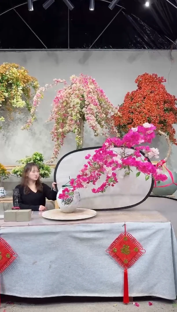 【闪购商品】盆口金心双色