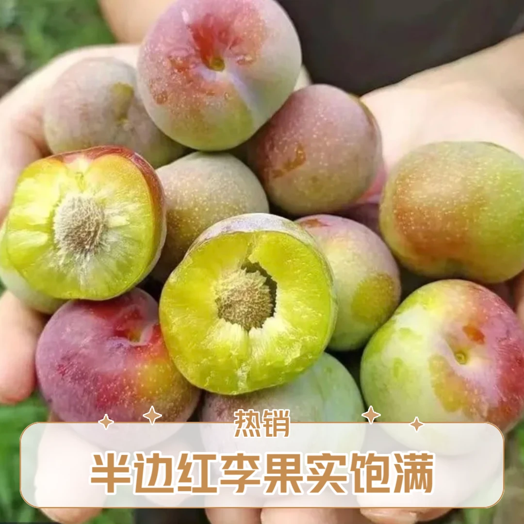 【姜婆甄选】四川半边红，口感九甜一酸，净重3斤起四川省