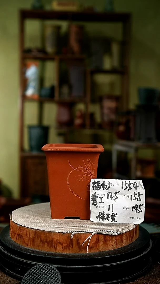 紫砂花盆花卉园艺1554