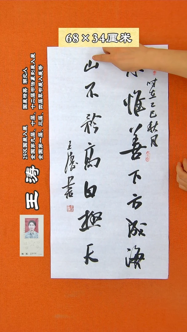 书法194R王涛书法作品