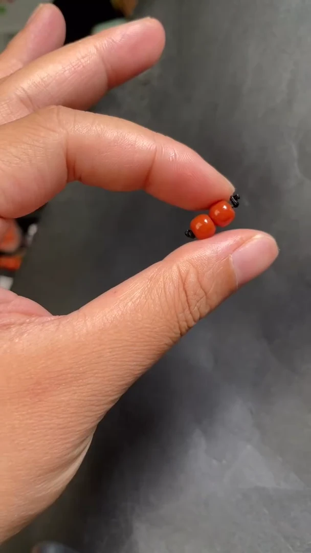 南红玛瑙116未镶嵌配饰