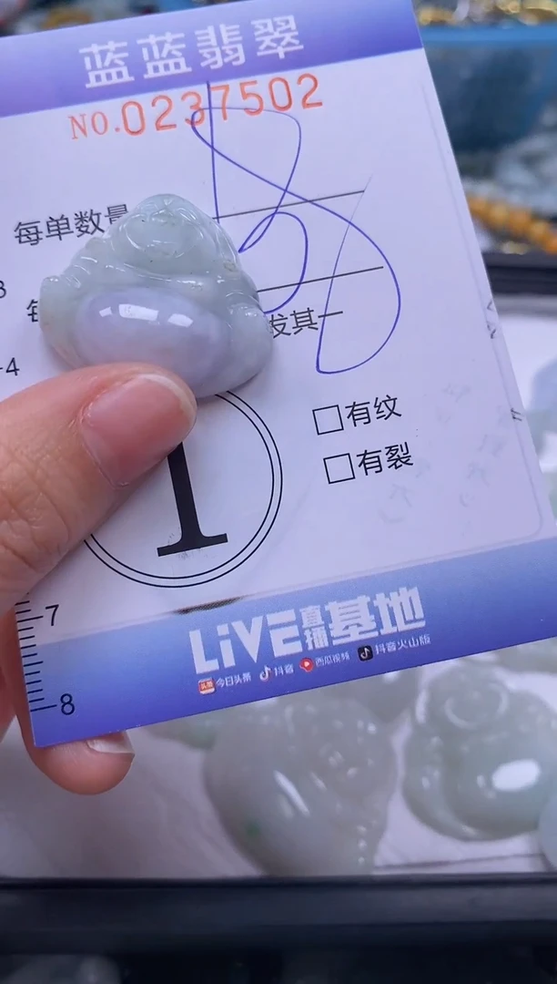 翡翠未镶嵌颈饰闪购0237502