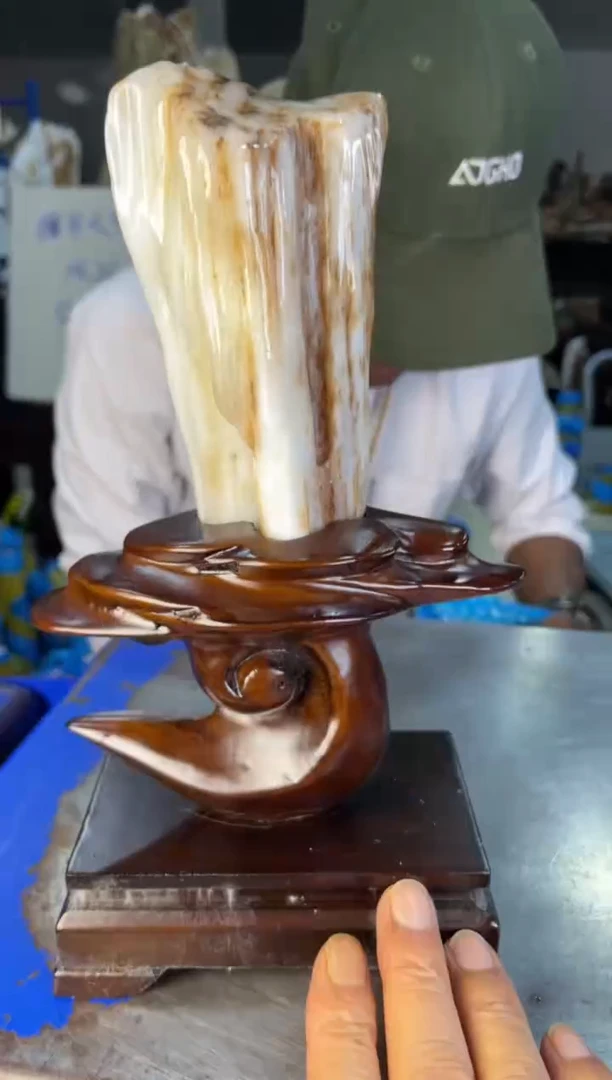 未镶嵌摆件硅化玉3