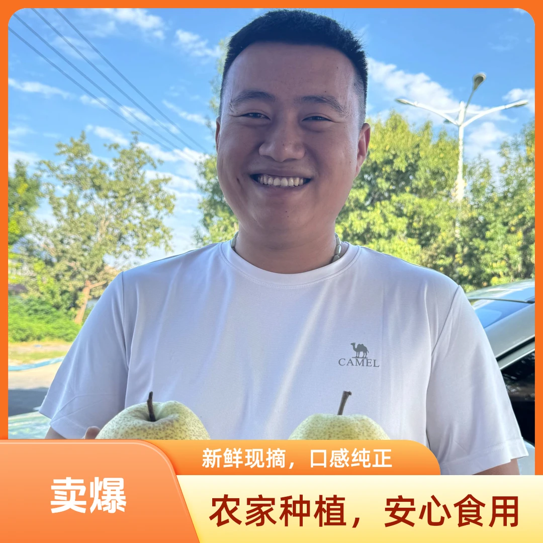正宗酥梨现摘新鲜水果皮薄多汁爆甜脆