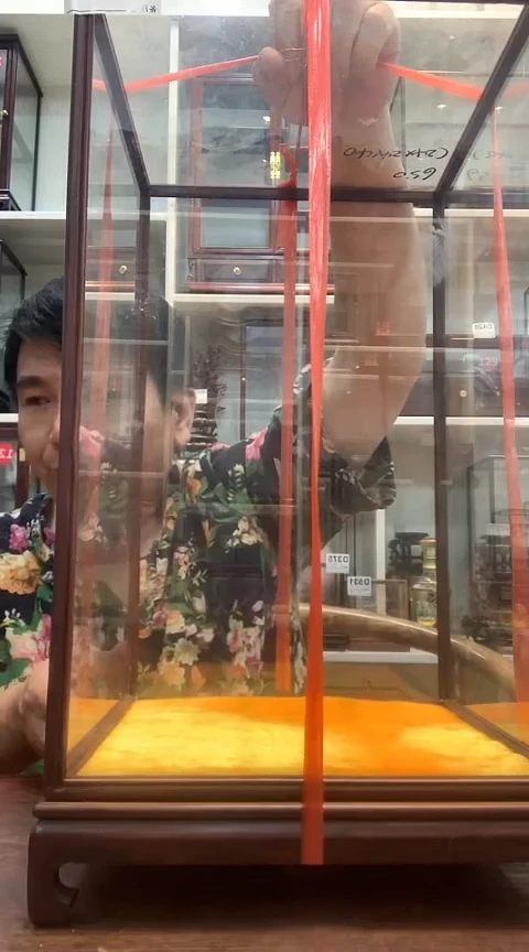 红酸枝木类阳**照24*24*40玻璃罩650