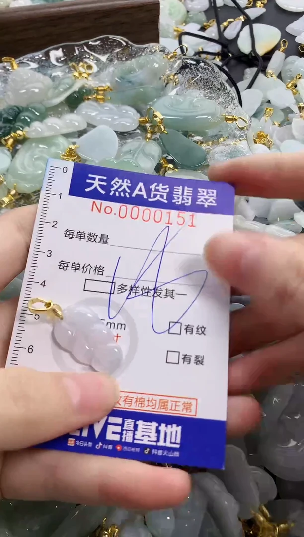 颈饰未镶嵌翡翠天然A货翡翠