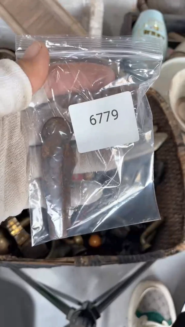 器556677882505266779