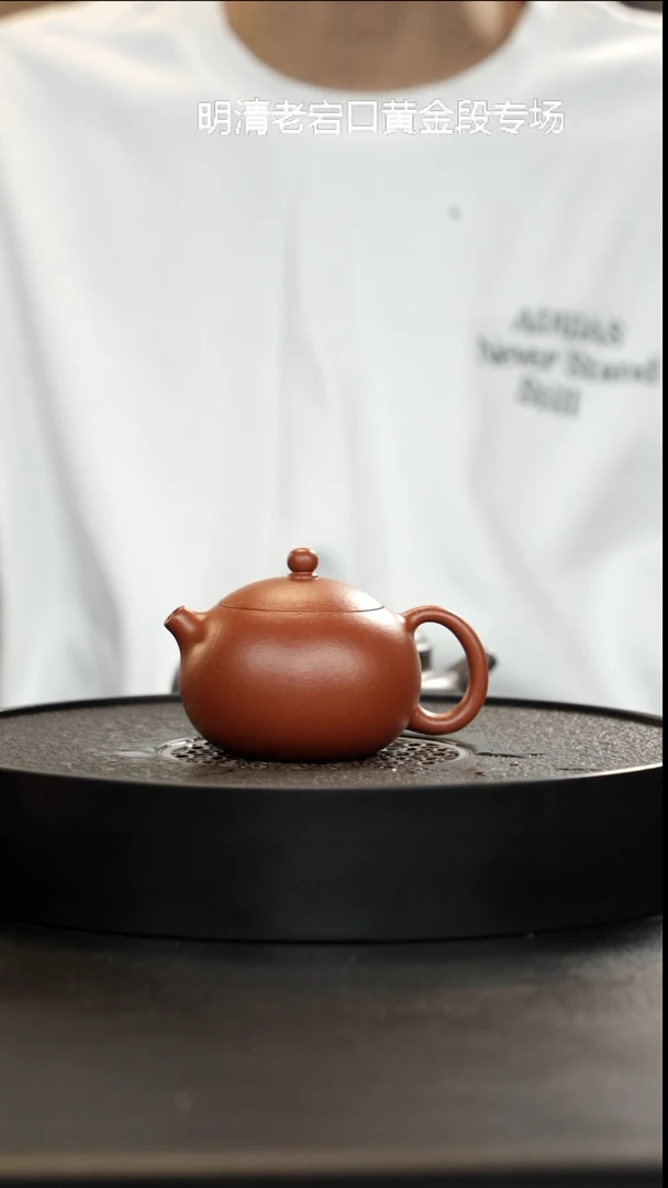 茶壶紫砂黄龙山生砂生料朱泥西施大漏