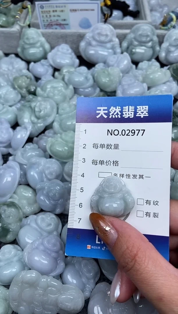 颈饰未镶嵌翡翠纯天然A货缅翡2977