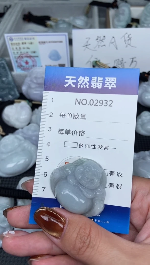 颈饰未镶嵌翡翠纯天然A货翡翠2932