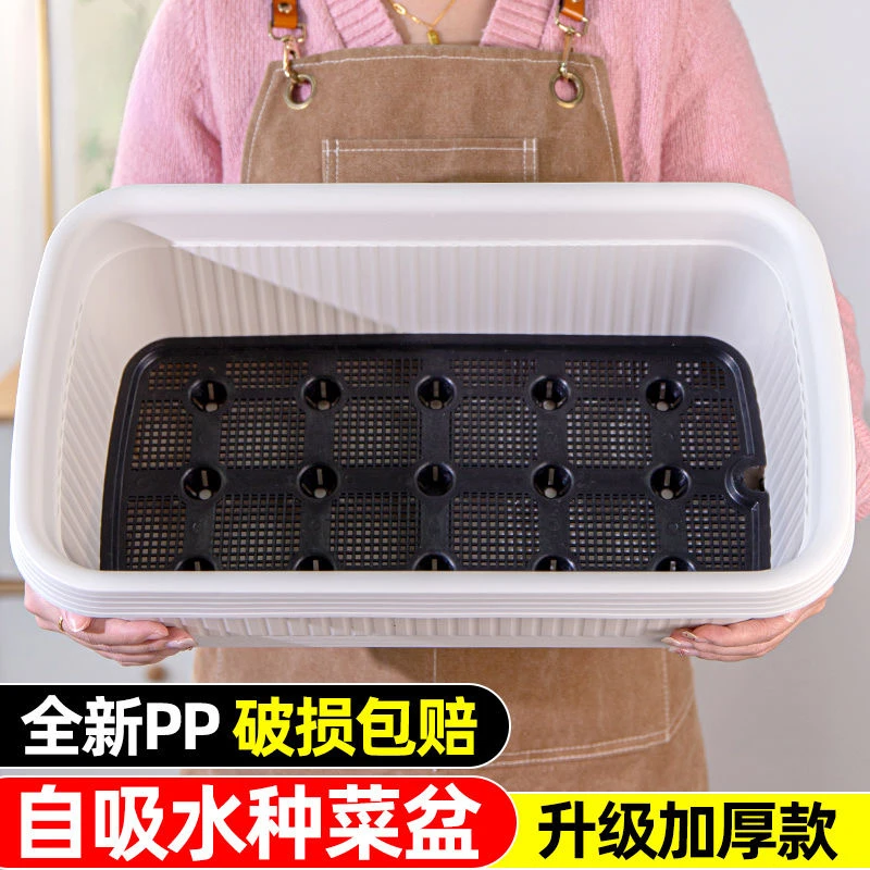 种菜专用盆阳台种菜长盆种菜盆塑料花盆特大绿萝透明长方形种植盆