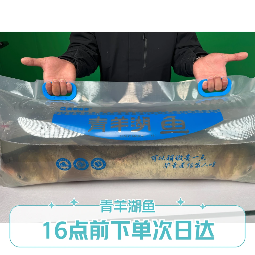 正宗青羊湖大头鱼胖头鱼鳙鱼雄鱼花鲢 3-12斤 （单条装） 活鱼到家