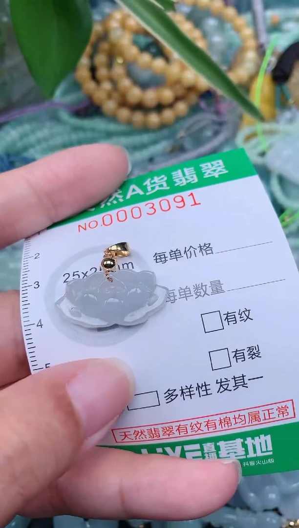 翡翠未镶嵌颈饰.0003091