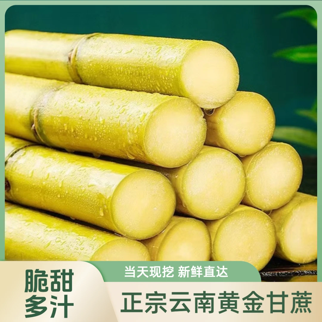 云南黄金甘蔗脆甜多汁新鲜现砍水果甘蔗5斤/9斤装