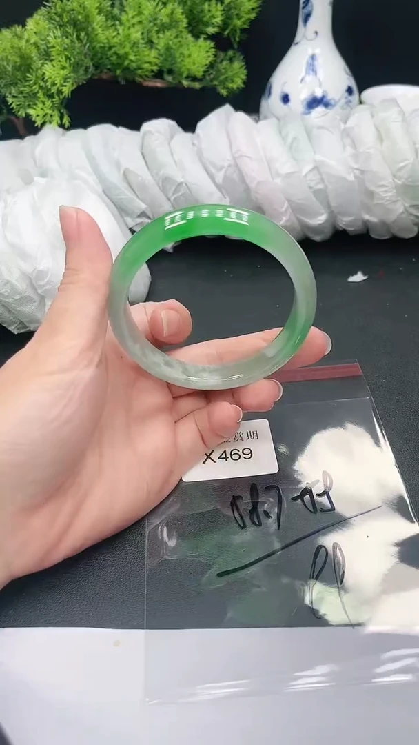 未镶嵌手镯翡翠469