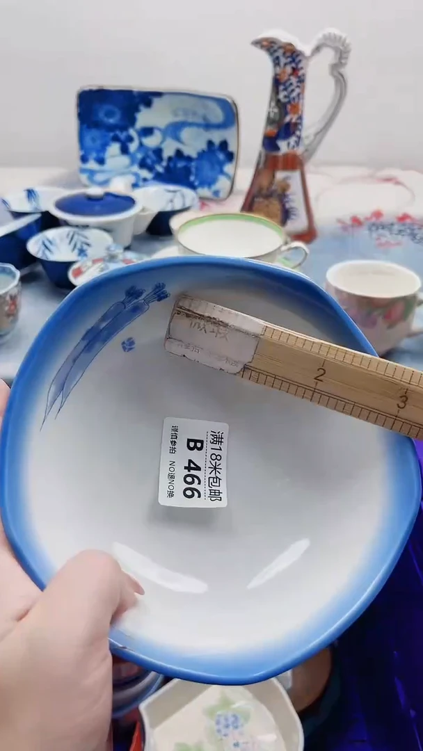 丽**辉B466***************