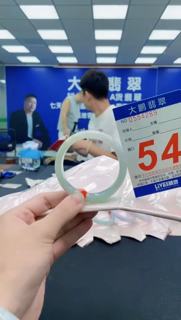 未镶嵌手镯翡翠AAAAAAAAA