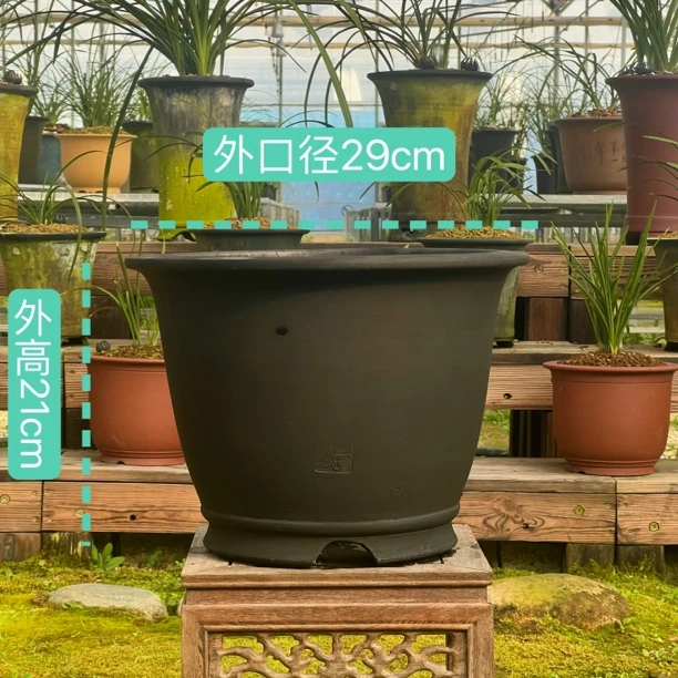 兰花盆，透气，江苏金坛泥盆金钟10寸【彭老师手作，非物质文化遗产】