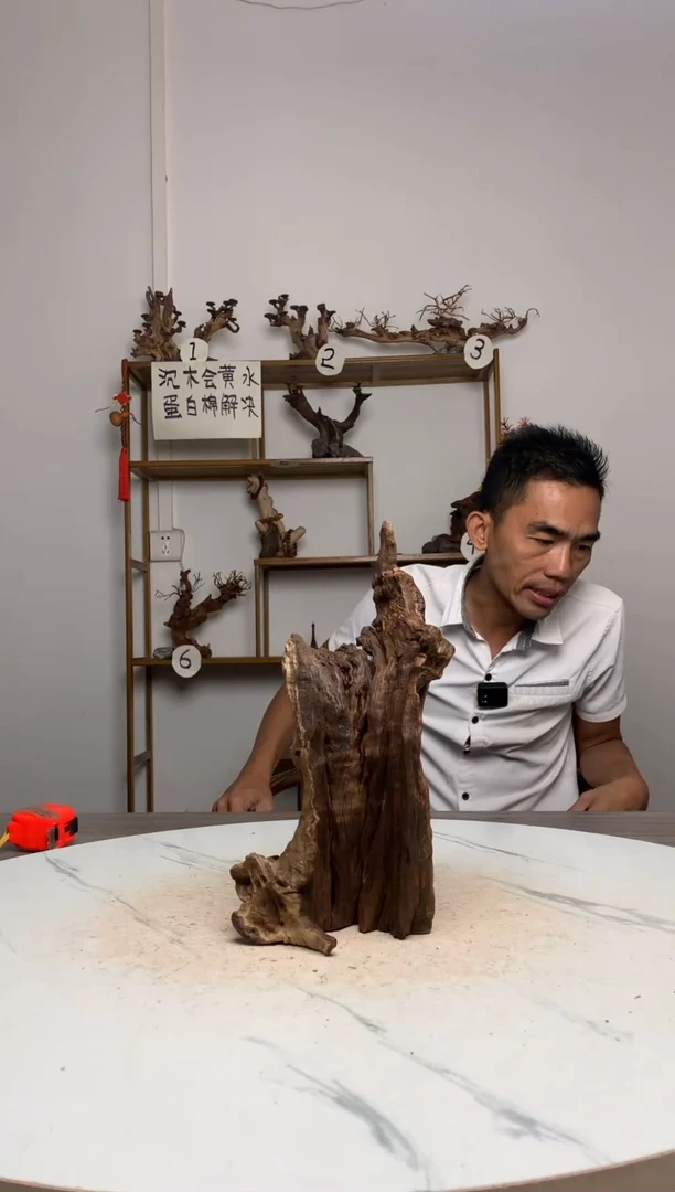 、****?鱼缸造景沉木摆件