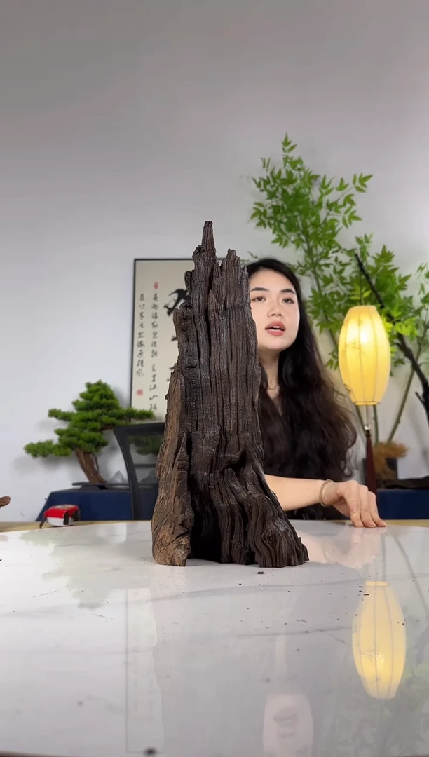 天***！拍这个定向编号41