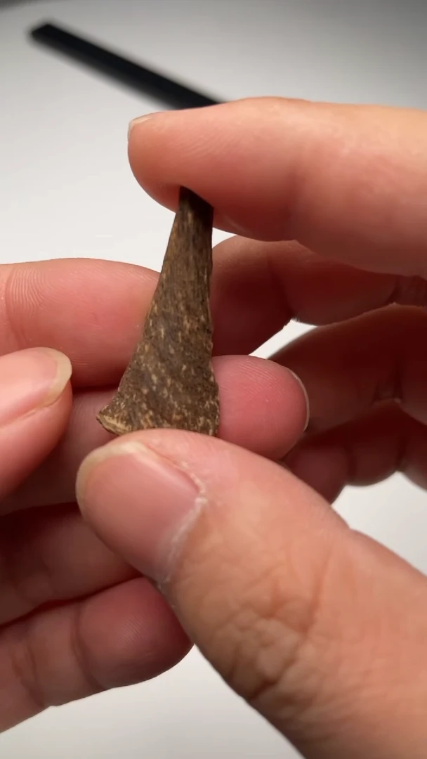 【闪购商品】沉香摆件海南沉水糖结0.5克