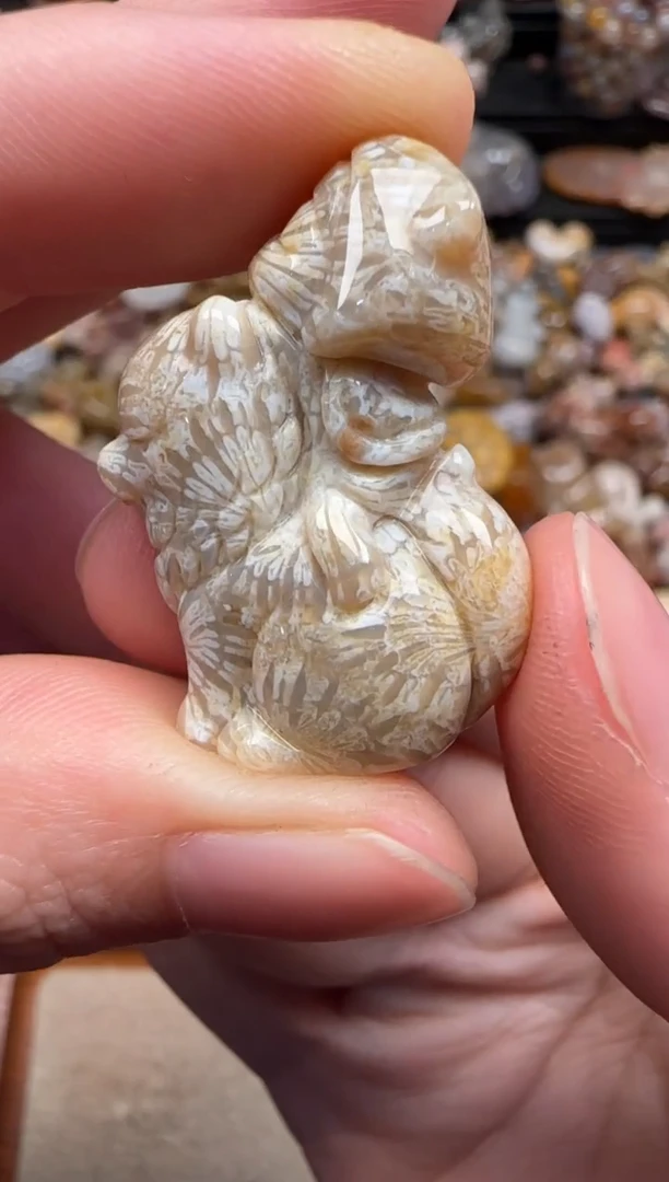 硅化珊瑚（珊瑚玉）未镶嵌颈饰778