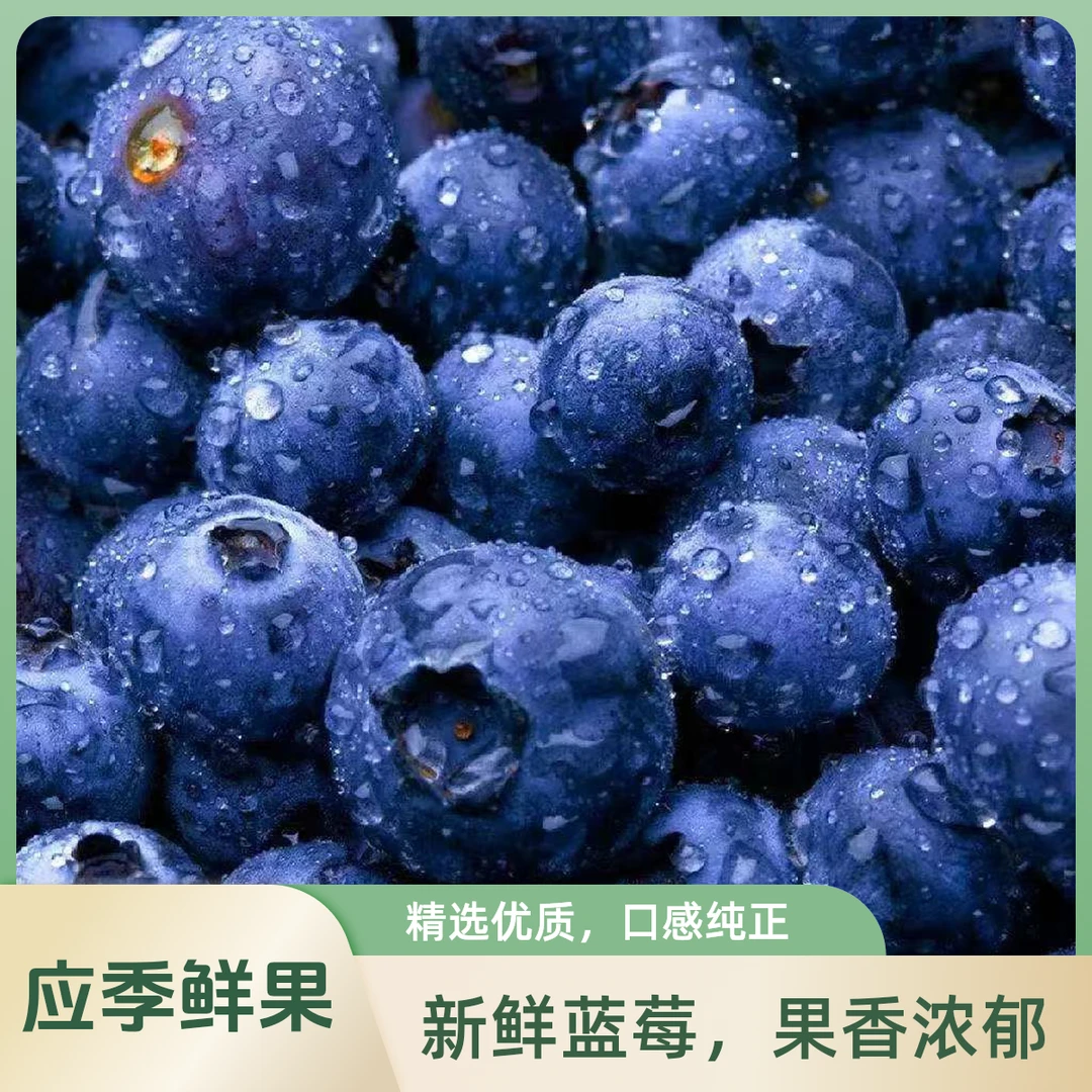 【特级优果蓝莓】云南高山花香蓝莓脆甜可口孕妈辅食