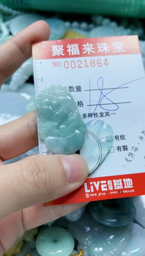 【闪购商品】翡翠颈饰未镶嵌闪购0021864