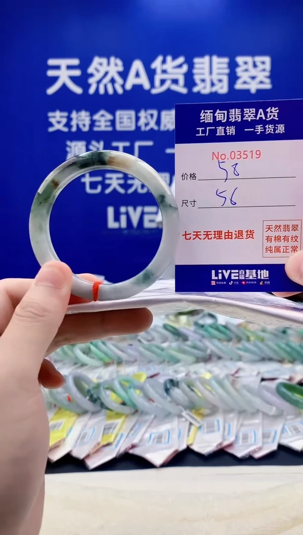 未镶嵌手镯翡翠19