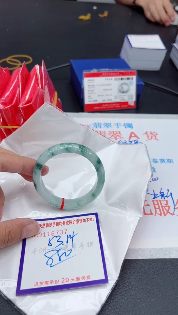 未镶嵌手镯翡翠111111