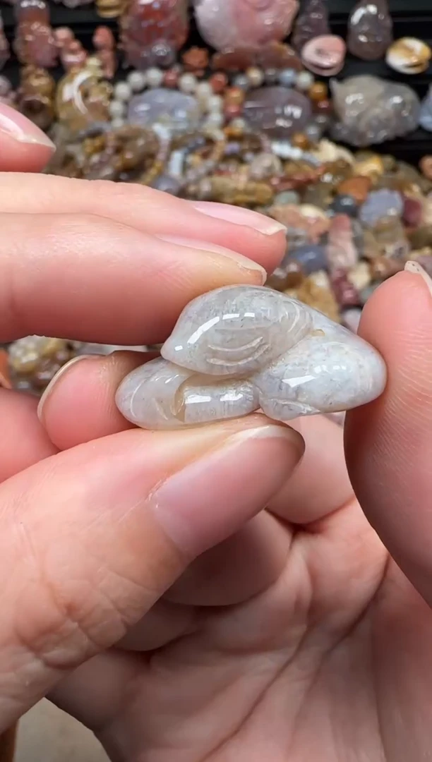 颈饰未镶嵌硅化珊瑚（珊瑚玉）486