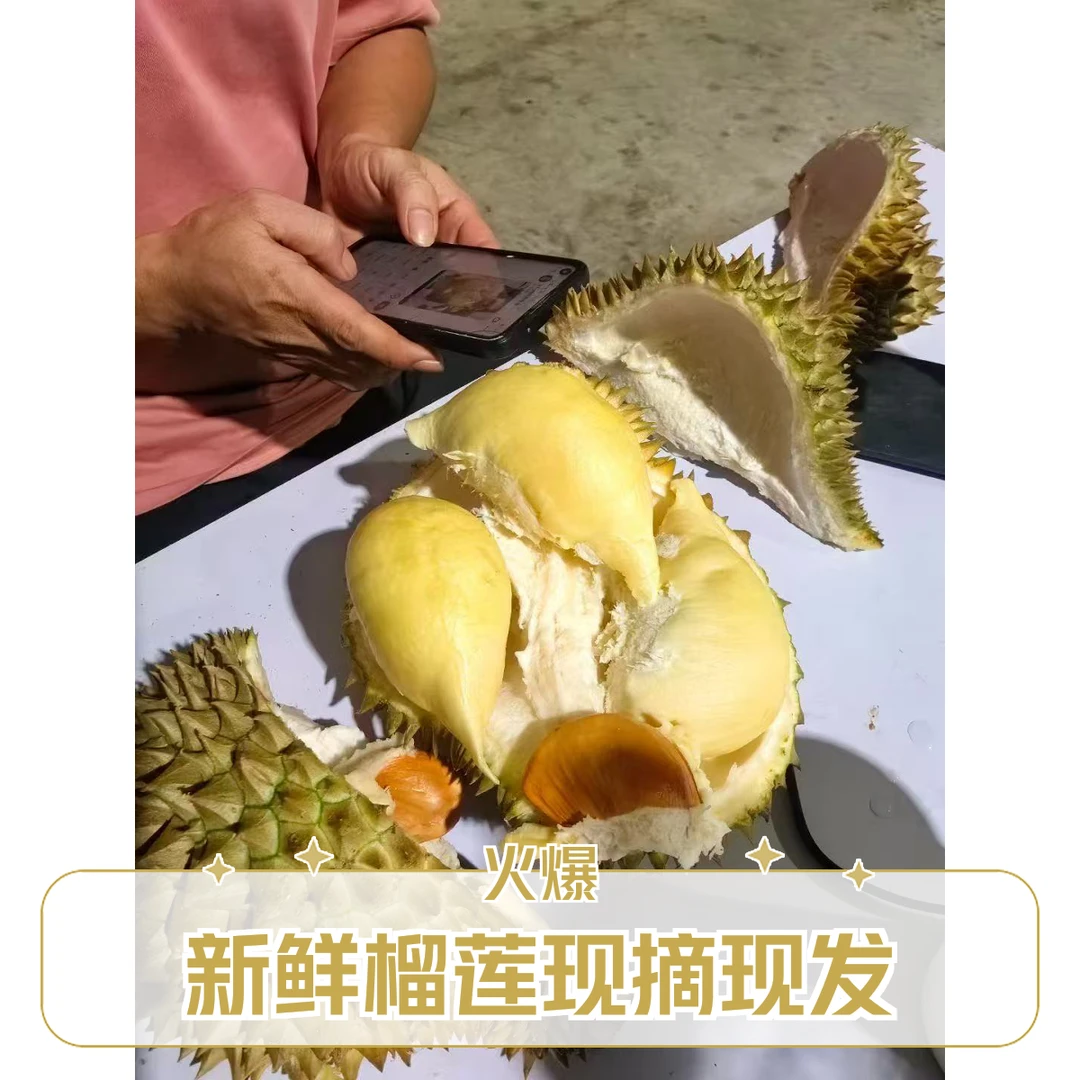 金枕鲜榴莲核大一果一重 （默认扒肉）同城送榴莲同城送榴莲同城配金枕泰国