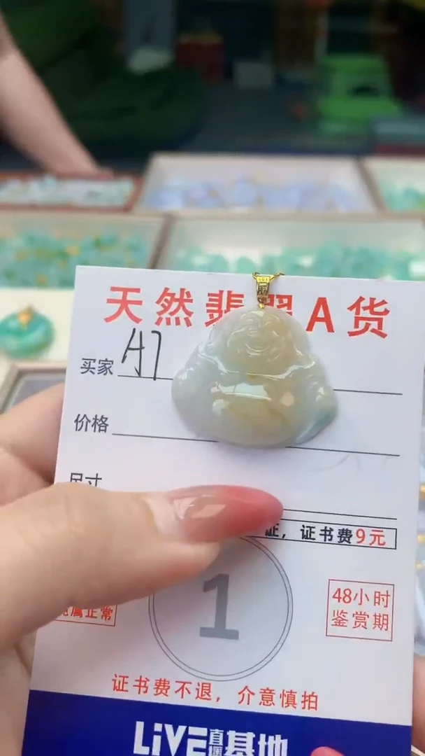 颈饰未镶嵌翡翠天然A货翡翠挂件