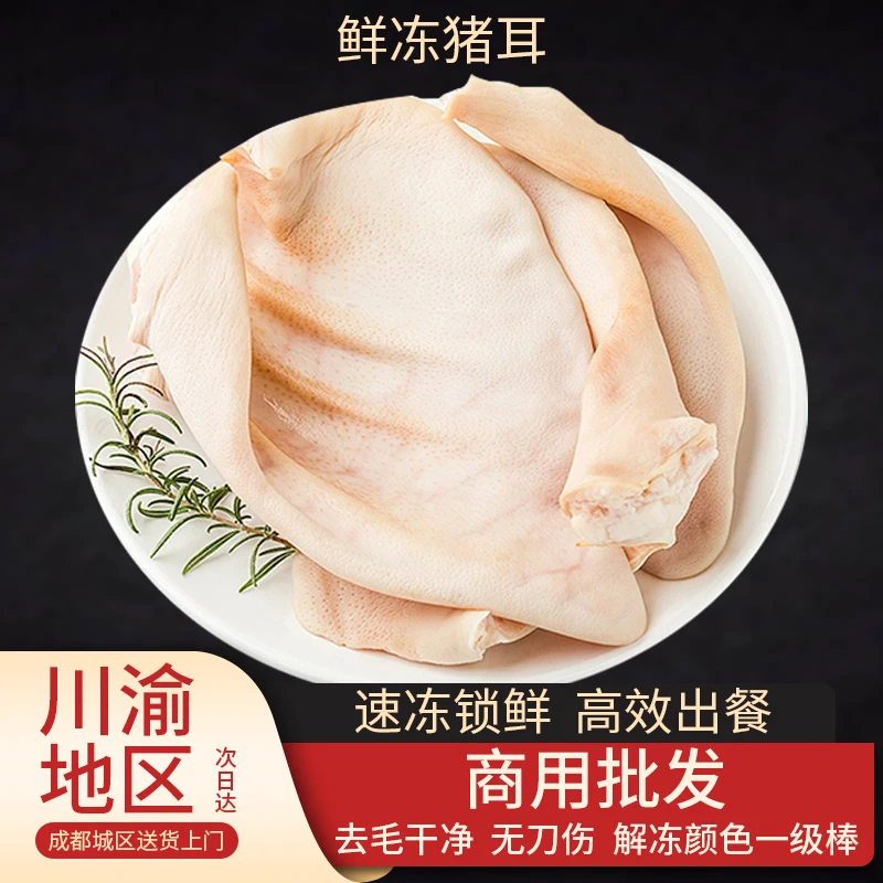 鲜冻猪耳 去毛干净 无刀伤 解冻颜色一级棒