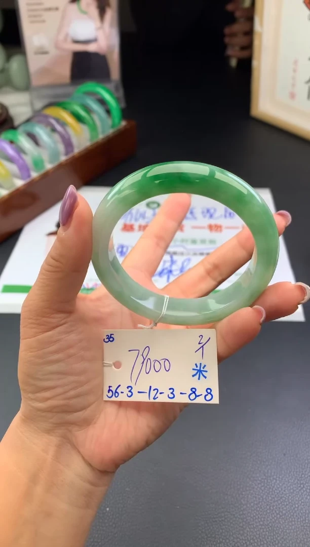 未镶嵌手镯翡翠假一赔三   手镯