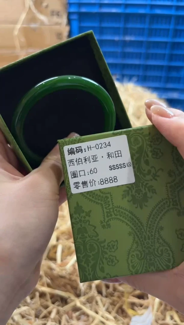 未镶嵌手镯石英质玉H-0234