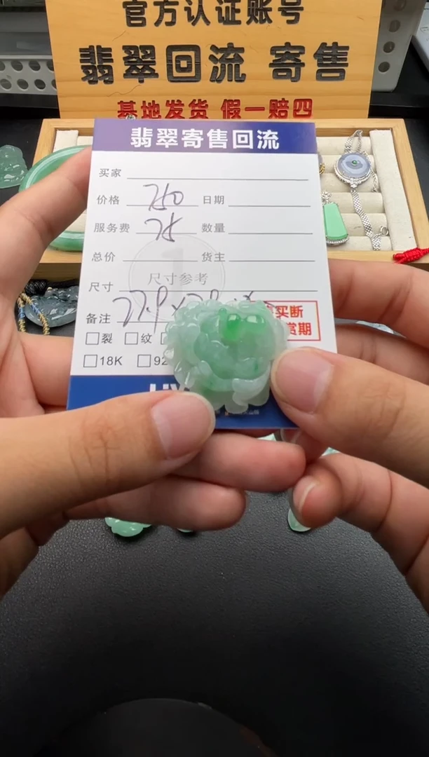 颈饰未镶嵌翡翠10146740