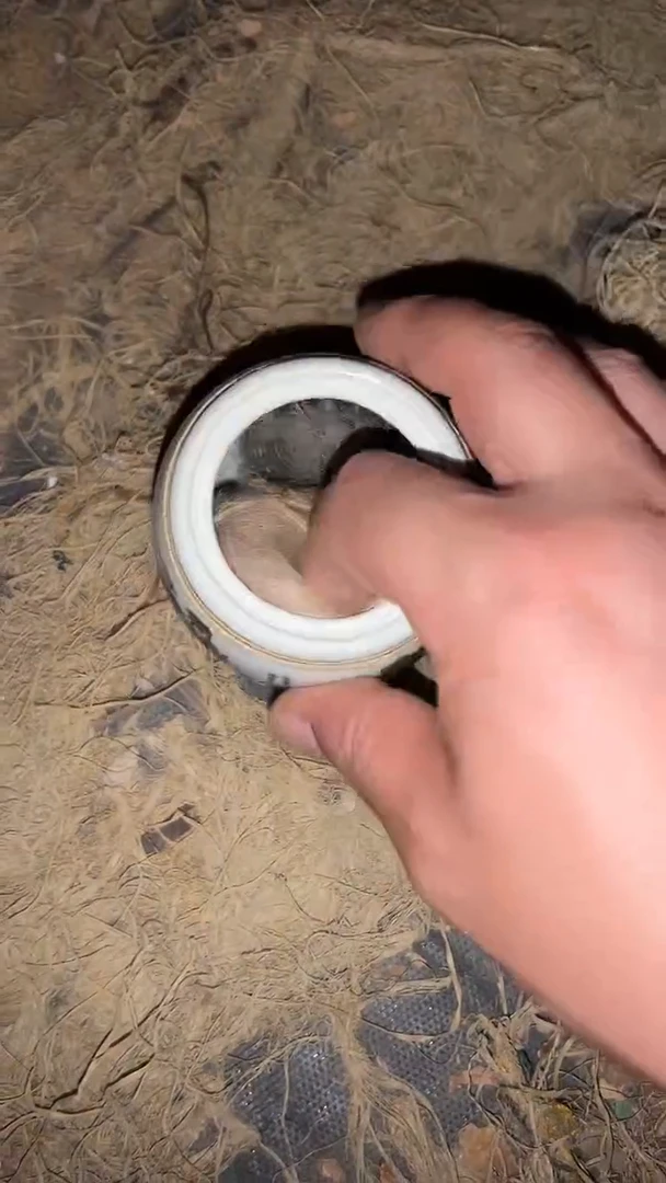 摆件一个  【绍文】