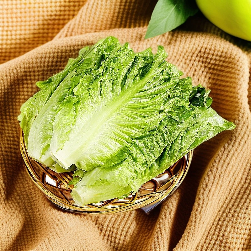新鲜生菜500-1000克
