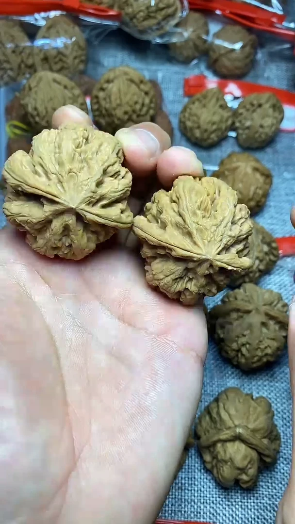 木质全品44尺山地果大粗筋