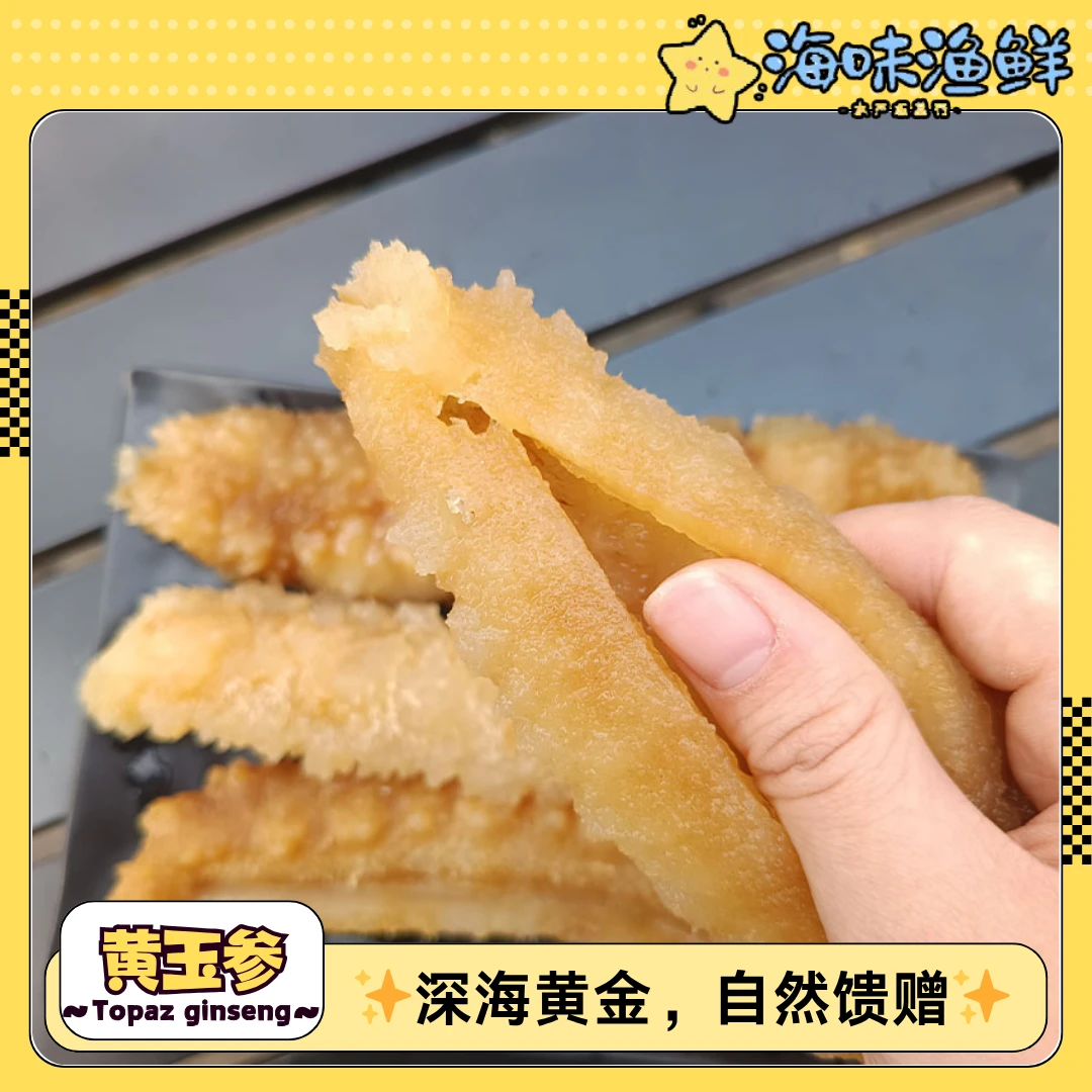 【免处理】野生黄玉参 冷冻冰鲜 刺参肉厚筋道 火锅煲汤食材 滋补