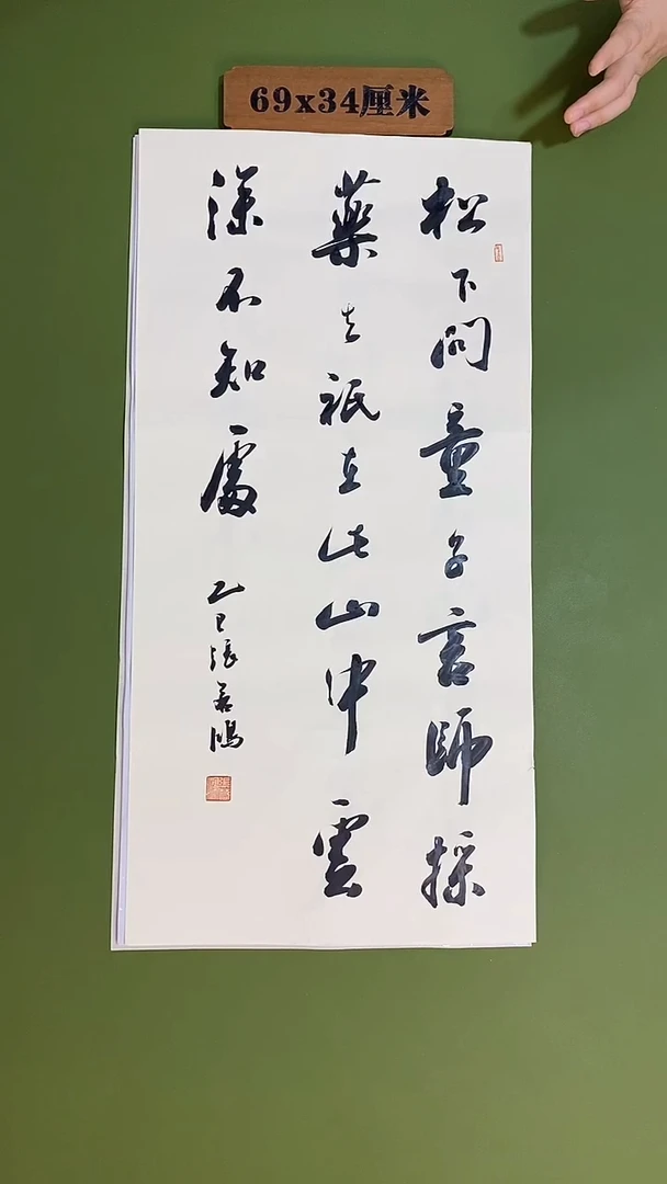 书法书法 张若鸿 尺寸69cm*34cm